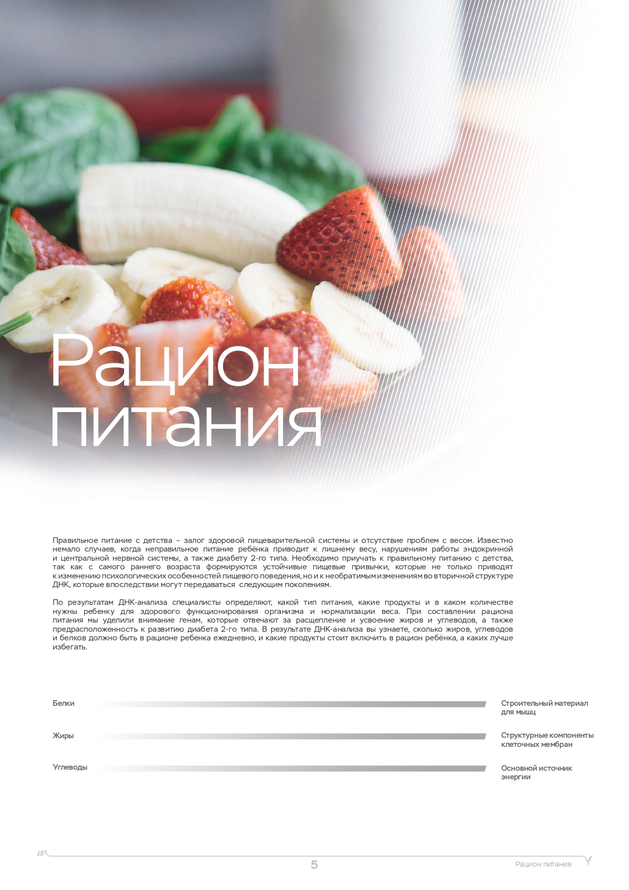 Пример образца