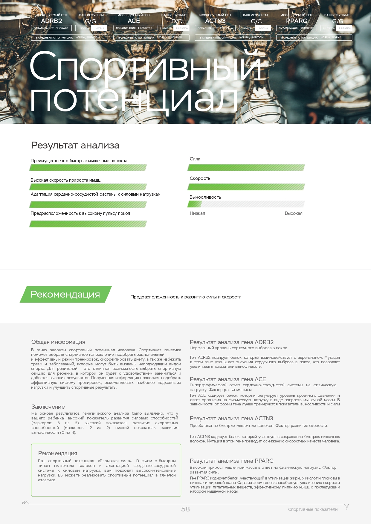 Пример образца