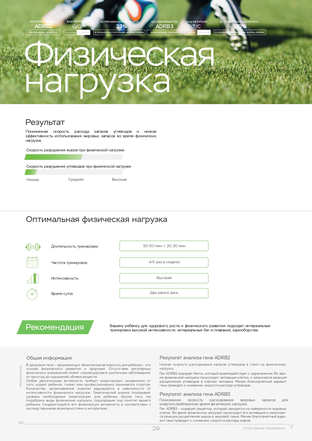 Пример образца